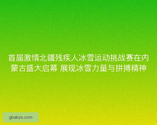 首届激情北疆残疾人冰雪运动挑战赛在内蒙古盛大启幕 展现冰雪力量与拼搏精神